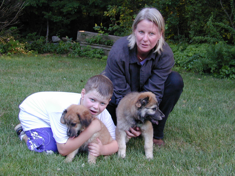 Puppies, 10 wks, 7.22.02